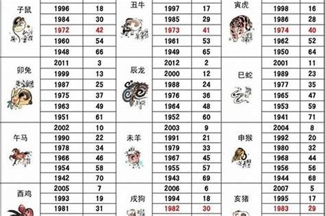 2002 属什么|2002年属什么生肖属相 2002年属什么生肖属于什么命